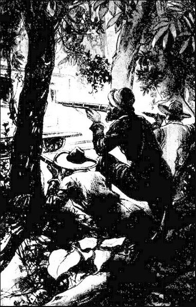 Illustration