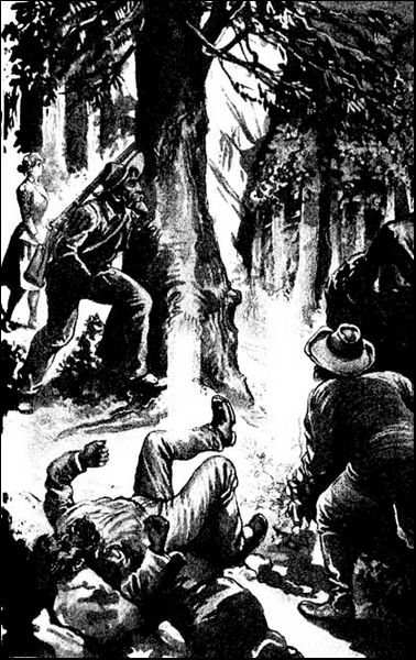 Illustration