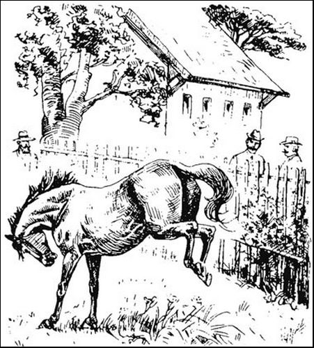 Illustration
