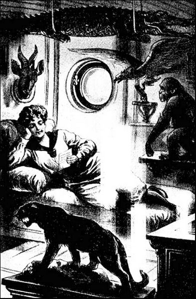 Illustration