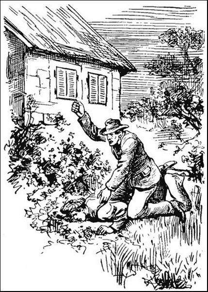 Illustration