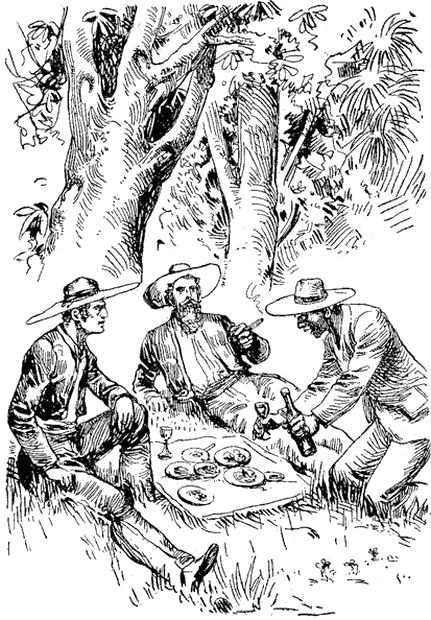 Illustration