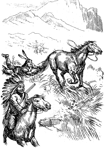 Illustration