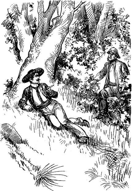 Illustration