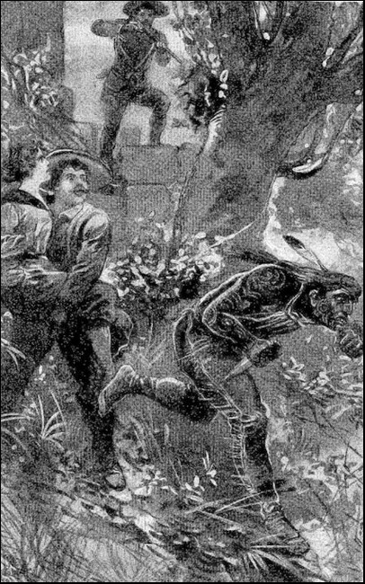 Illustration