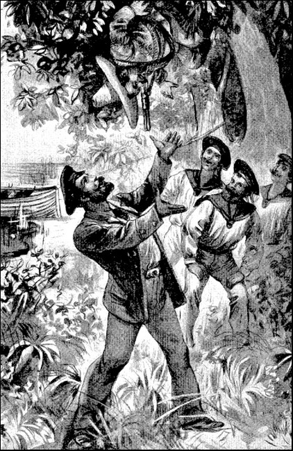 Illustration