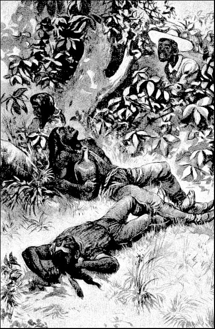 Illustration