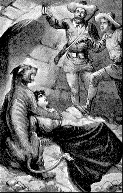 Illustration