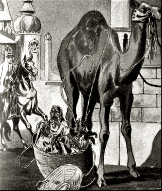 Illustration