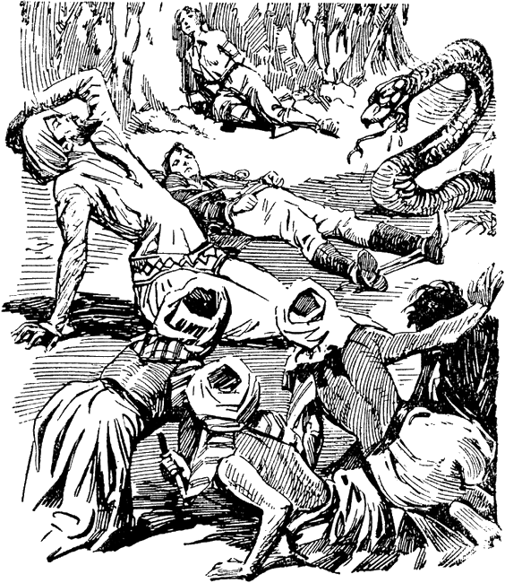 Illustration