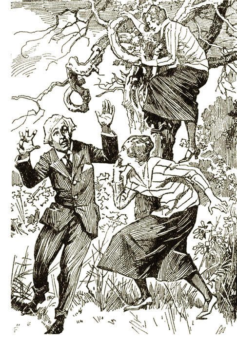 Illustration