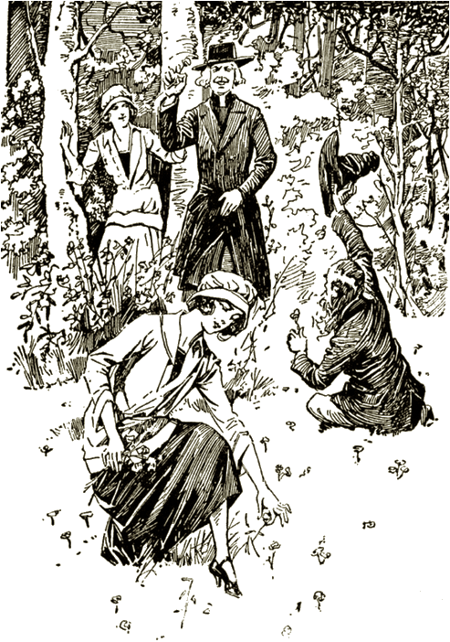 Illustration