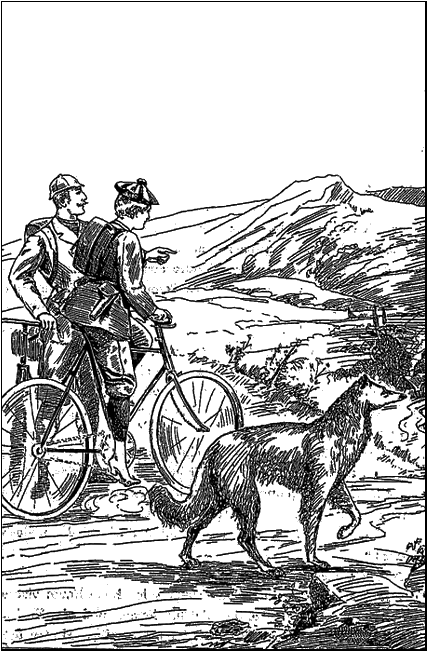 Illustration