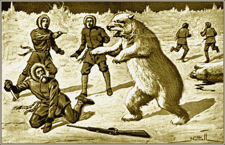 Cover Cover Image
