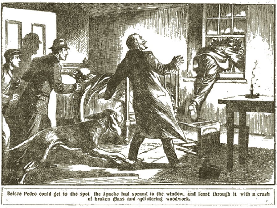 Illustration
