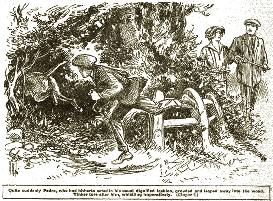 Illustration