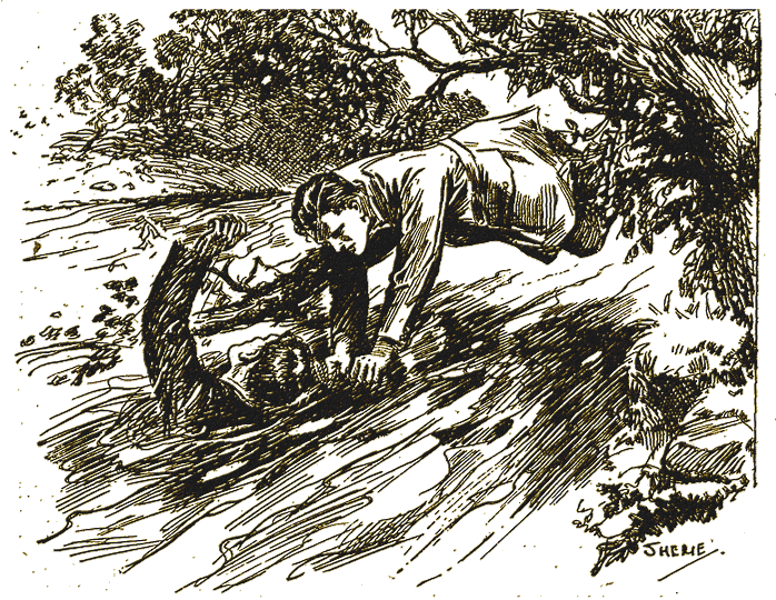 Illustration