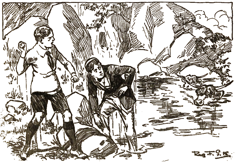 Illustration