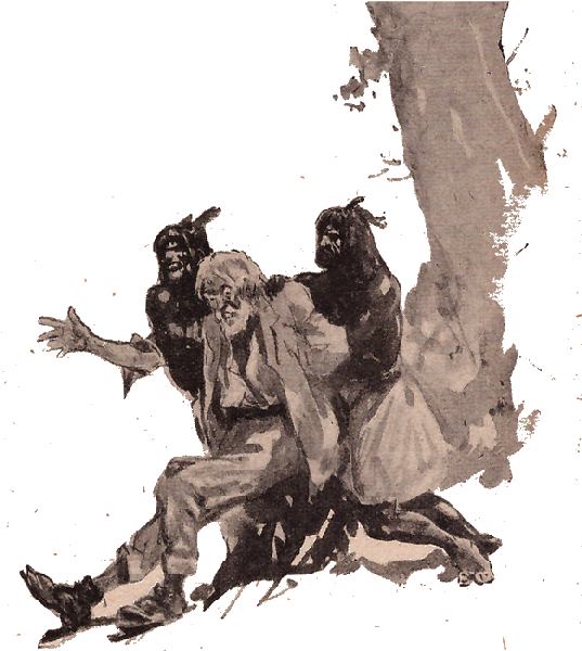 Illustration