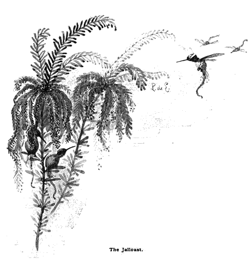 Illustration