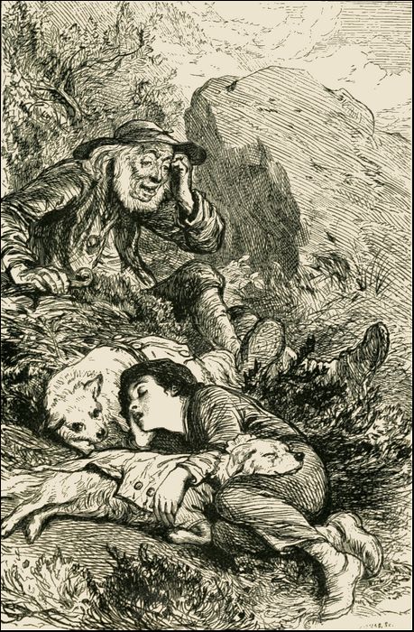Illustration