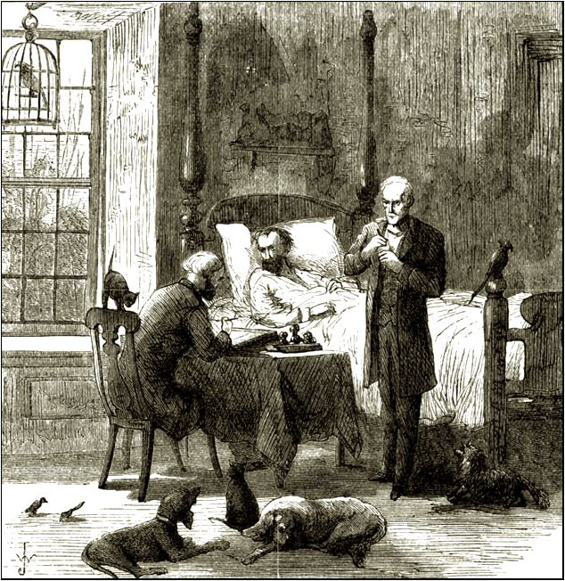 Illustration