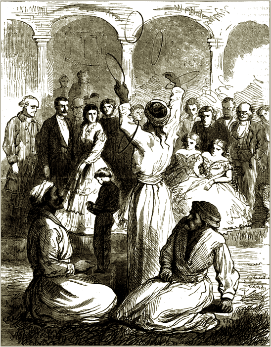 Illustration