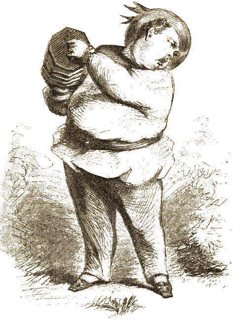 Illustration